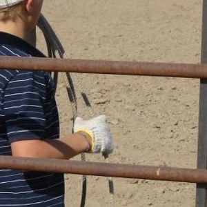 Meet your Posher, Chase